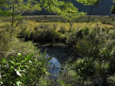 Peering Through the Trees at Mirror Lakes.JPG